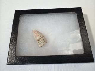 Lot of 1 misc bullet w/riker mount