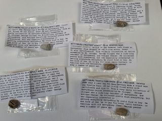 Lot of 5 Gettysburg Bullets