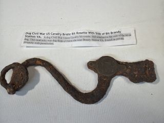 US cavalry bridle bit rosette